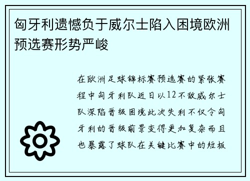 匈牙利遗憾负于威尔士陷入困境欧洲预选赛形势严峻